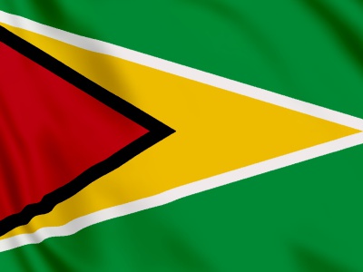 Vlag Guyana 100x70