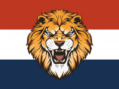 Vlag Holland Leeuw 1 020x030 cm