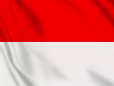 vlag Indonesie 100x70