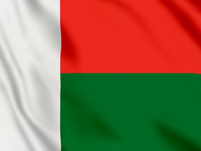 vlag Madagaskar 100x70