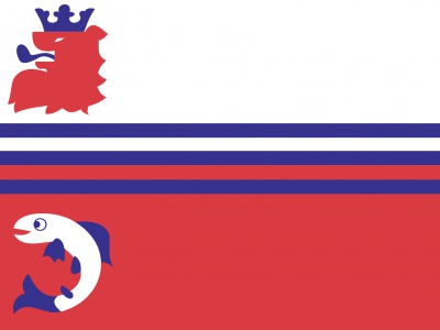 Vlag Neerijnen 070x100 cm