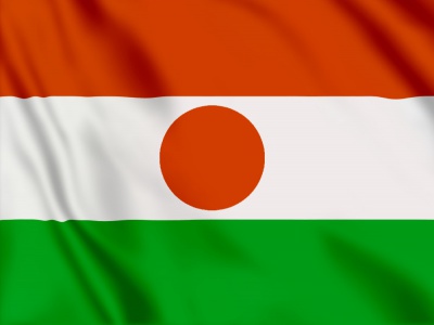 vlag Niger 100x70