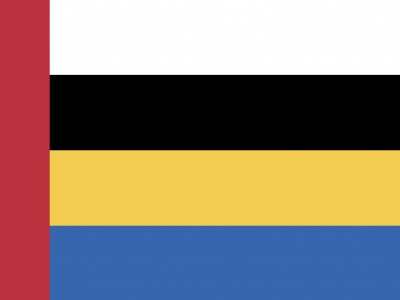 Vlag Nuenen 070x100 cm