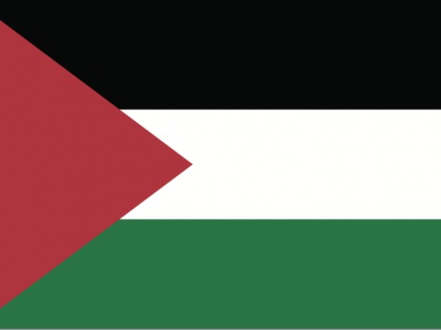 Vlag Palestina 70x100 cm