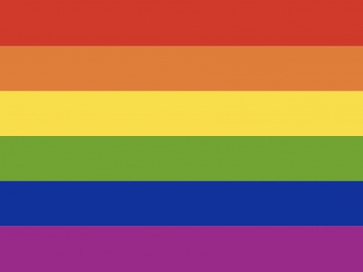 Vlag Regenboog 070x100 cm