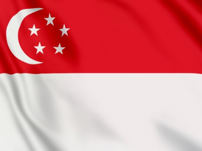 vlag Singapore 100x70