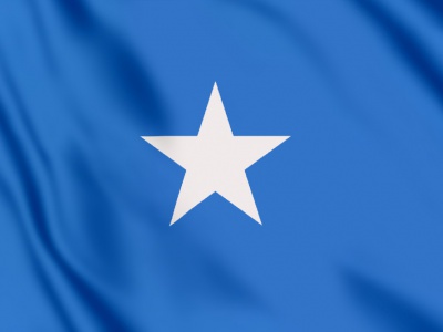 vlag Somalië 100x70