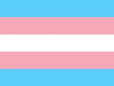 Vlag Transgender 100x150 cm