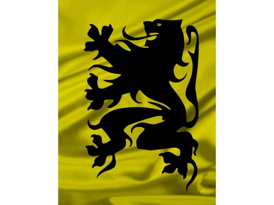 Vlag Vlaanderen 70x100 cm